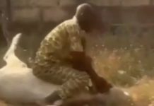 Wèrè ju wèrè lọ