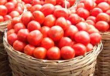 Ramadan: Owó tòmátì máa dínkù lásìkò ààwẹ̀ ọdún yìí