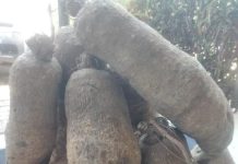 Olówó ló ń jẹ isu báyìí l’Ekoo