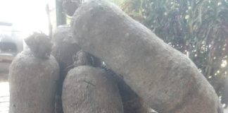Olówó ló ń jẹ isu báyìí l’Ekoo